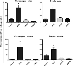 Image result for Macrotyloma maranguense