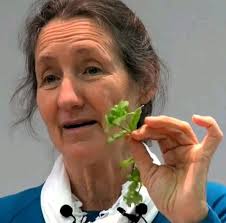 Garlic butter steak with creamy parmesan rigatoni