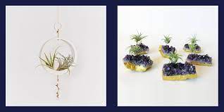 We did not find results for: 14 Creative Air Plant Display Ideas Best Air Plants For Indoors