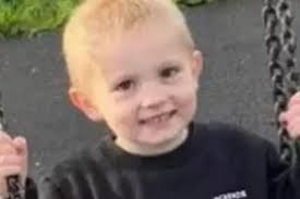 Cheeky' boy, 5, killed by car 'as he ran across road looking for older  brothers'