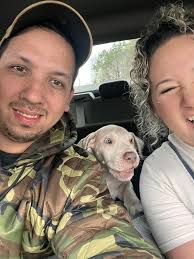 Tips for Teething Great Dane Puppies