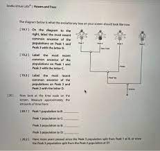 Maybe you would like to learn more about one of these? Reak 2 Wilit Leeler L Petal Tipe 19 3 Label The Chegg Com