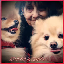 Gratitude to those supporting families