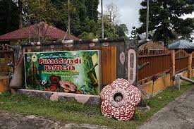 Salah satu tempat wisata yang bisa dikunjungi adalah manta point di misool. 20 Tempat Menarik Di Tambunan Sabah Untuk Percutian Sabah Post