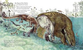 The Wildlife Of Star Wars Fantasy Creatures Star Wars Characters Pictures Creature Artwork