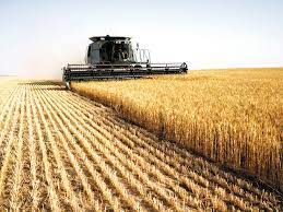 Maybe you would like to learn more about one of these? Topul Celor Mai Mari TranzacÅ£ii Cu Terenuri Agricole De La Inceputul Anului Cea Mai Mare TranzacÅ£ie