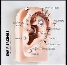 Pin By Ashley Dalton On Piercing Ideas Ear Piercings Chart Piercing Chart Ear Piercing Diagram