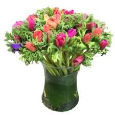 Harper gallery jerusalem tulip wiki. Jerusalem Tulips