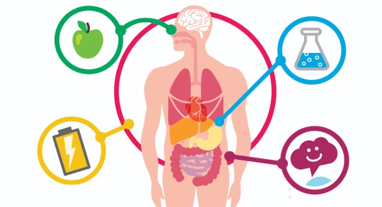 Unidad 3: Procesos 
bioquímicos
