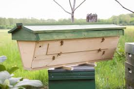 Think beek urban beekeeping in the tropics top bar hive v.s. Top Bar Beekeeping For Beginners Beekeepclub