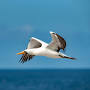 Profile Picture of Marchena - Galapagos Conservation Trust (@galapagosconservation.org.uk) on Google
