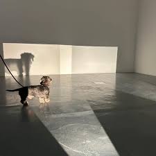 Bildergebnis für Michel Verjux