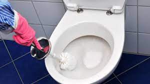 Toilette Urinflecken Und Verfarbungen Auf Wc Sitz Entfernen Luvett De