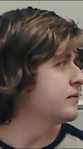 How does a Northern Irish teen become one of the world's worst online child  sex abusers? , Teen Predator