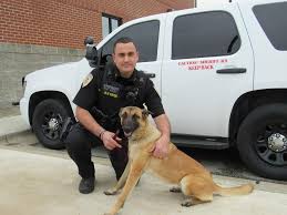 Saline County Sheriff S Office K9 Piper Saline County Arkansas Sheriff S Office Facebook