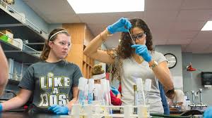 The term forensic science involves forensic (or forensis, in latin), which means a public discussion or debate. Forensic Science Degree Maryville