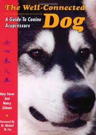 The Well Connected Dog A Guide To Canine Acupressure Amy