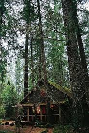 Trip To A Cabin In The Deep Woods Cabins In The Woods Little Cabin Cabin
