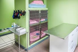 Maybe you would like to learn more about one of these? Our Clinic Humber Valley Vet Corner Brook Veterinary Clinic Veterinary Hospital Veterinary