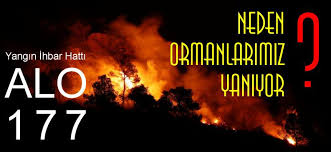 • ormanlık alanlarda meydana gelen toprak yangını: Orman Yanginlarinin Cikis Sebepleri Nelerdir
