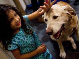 They're sometimes brought into hospitals or nursing homes to help reduce patients' stress and anxiety. Pet Therapy How Animals And Humans Heal Each Other Shots Health News Npr