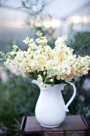 The most common little white flowers material is metal. My Sweet Savannah White Flowers Flower Arrangements Beautiful Flowers