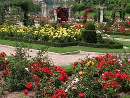 .® roses in our small rose garden, two each of head over heels that will have fluffy light pink flowers, music box which will be a beautiful yellow rose with pink finish by mulching the small rose garden with your choice of mulch. The Charming And Romantic Beauty Of A Splendid Rose Garden
