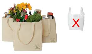 Take advantage of factory direct savings and fast 24 hour production. A Zero Waste Home Created From Plastic Free Shopping Ultimate Guide