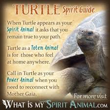 Turtle Symbolism Meaning Spirit Totem Power Animal Turtle Symbolism Spirit Animal Totem Spirit Animal Meaning