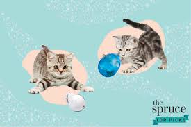 Abee rugs (the house of persian carpets) our carpet repair done excellent job to repair carpet hole. The 7 Best Interactive Cat Toys