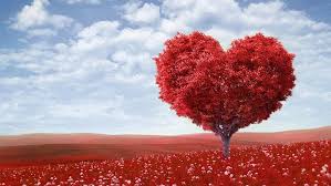 This day of love is celebrated in so many ways, it is always exciting to see what new traditions are included or created year after year. Valentine S Day 2021 National Awareness Days Calendar 2021