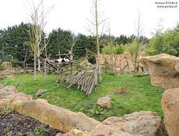 Le panda géant (ailuropoda melanoleuca) est une espèce de mammifères, habituellement classée dans la famille des ursidés (ursidae), endémique de la chine centrale. Les Installations Des Pandas A Beauval