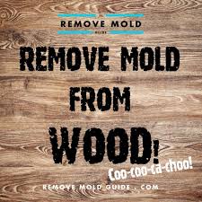 Remove Mold From Wood 2014 Guide To Mold Removal Mold Remover Cleaning Wood Mold Remover On Wood