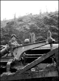 Cole Edwin McFarland