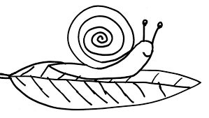 Schnecke Sosonnchen
