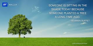 Someone Is Sitting In The Shade Today Because Someone Planted A Tree A Long Time Ago Warren Buffet R Wallex Trust