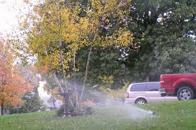 If you must water your lawn, do it early in the morning. Winter Watering Unl Water