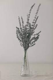 Find popular dried lavender in vase and buy best selling dried lavender in vase from m.banggood.com. Dried Lavender On A Glass Vase By Bonninstudio