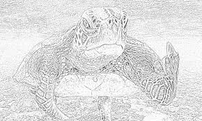 Select from 35870 printable coloring pages of cartoons animals nature bible and many more. The Holiday Site Coloring Pages Of Turtles Free And Downloadable