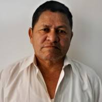 90+ "De Celis" profiles