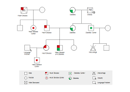 Medical Genogram Free Medical Genogram Templates