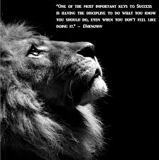 Quote Of The Day Black And White Lion Lion Profile Lion Wallpaper