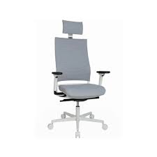 Bei den modellen der topstar kollektion umfasst diese 3 jahre ab kaufdatum. Home Office Stuhl Topstar Sitness Life 80 Grau Farbe Grau