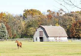 Living With Horses A Place In The Country Horse Journals