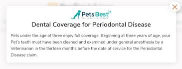 Keep your pet's teeth healthy and strong pet insurance provided by pinnacle insurance plc. Pet Dental Insurance How To Find The Best Plan Pawlicy Advisor