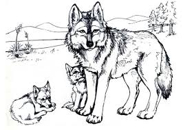 Wolf Ausmalbild Ausmalbilder Fur Kinder Malvorlagen Pferde Malvorlagen Zum Ausdrucken Ausmalen