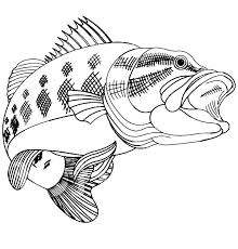 Dont panic , printable and downloadable free double bass coloring page coloring pages we have created for you. Pin On Bass Fish Coloring Pages