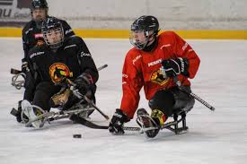 Referees Piechaczek and Kohlmüller nominated for the World Cup