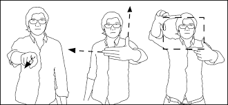 Free vector download with nine different drawings of hands in different positions. The 3 Main Hand Postures From Left To Right Pointing To A Given Download Scientific Diagram
