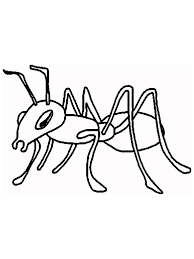 We did not find results for: Free Ant Coloring Pages Printable Everyday We Must Have Met This One Small Animal Yes Ants Are A Ant Coloring Page Animal Coloring Pages Lego Coloring Pages